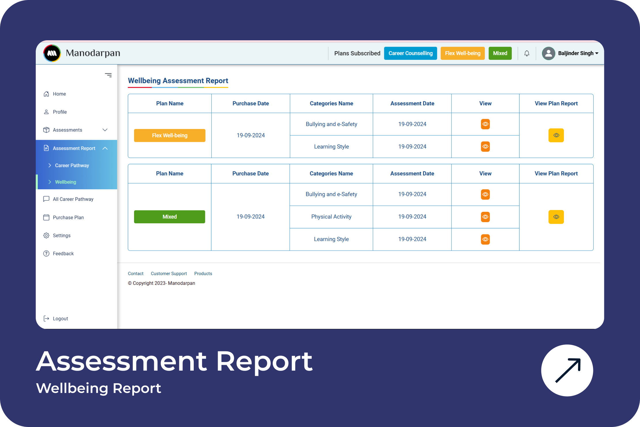 AssessmentReport-Wellbeing