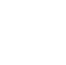 pro-icon1